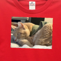 A red t-shirt with a photo of a cat printed on it showing our photo transfer service.